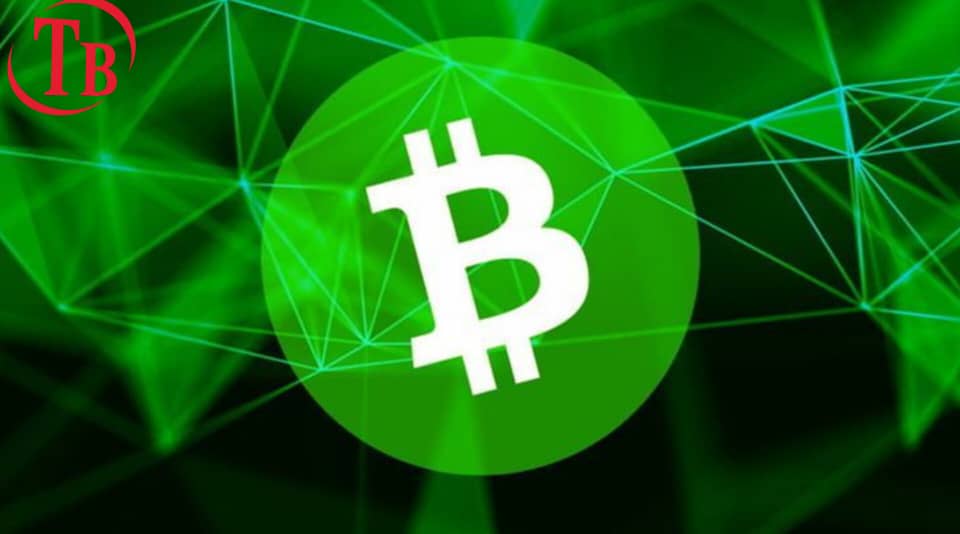 بیت‌کوین کش (Bitcoin Cash) چیست؟ بررسی تاریخچه، فناوری و آینده BCH